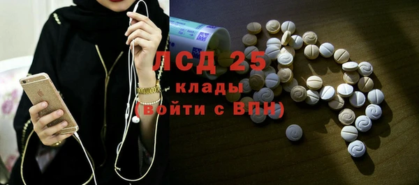 молекула духа Богданович