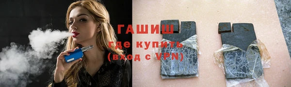 молекула духа Богданович