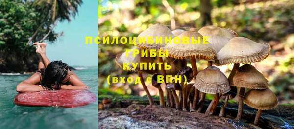 наркотики Богородицк