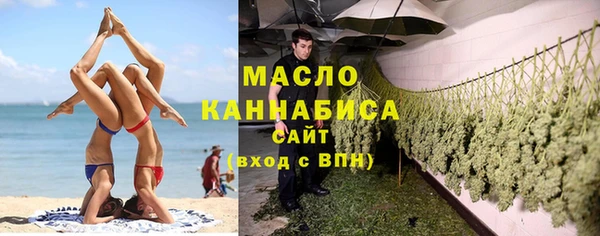 молекула духа Богданович
