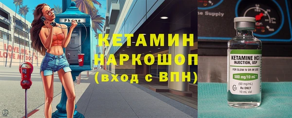 молекула духа Богданович