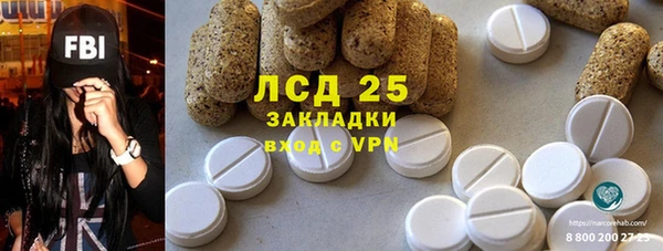 молекула духа Богданович