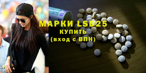 молекула духа Богданович