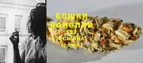 прущие крисы Сатка