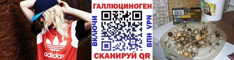 Галлюциногенные грибы Psilocybine cubensis Славянск-на-Кубани